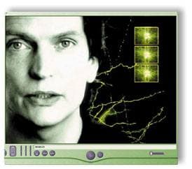 לא מתים מזה